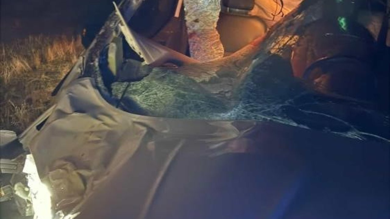 Muş&#039;ta Yol Ortasındaki Ata Çarpan Araç Kazasında 2 Kişi Yaralandı, At Telef Oldu