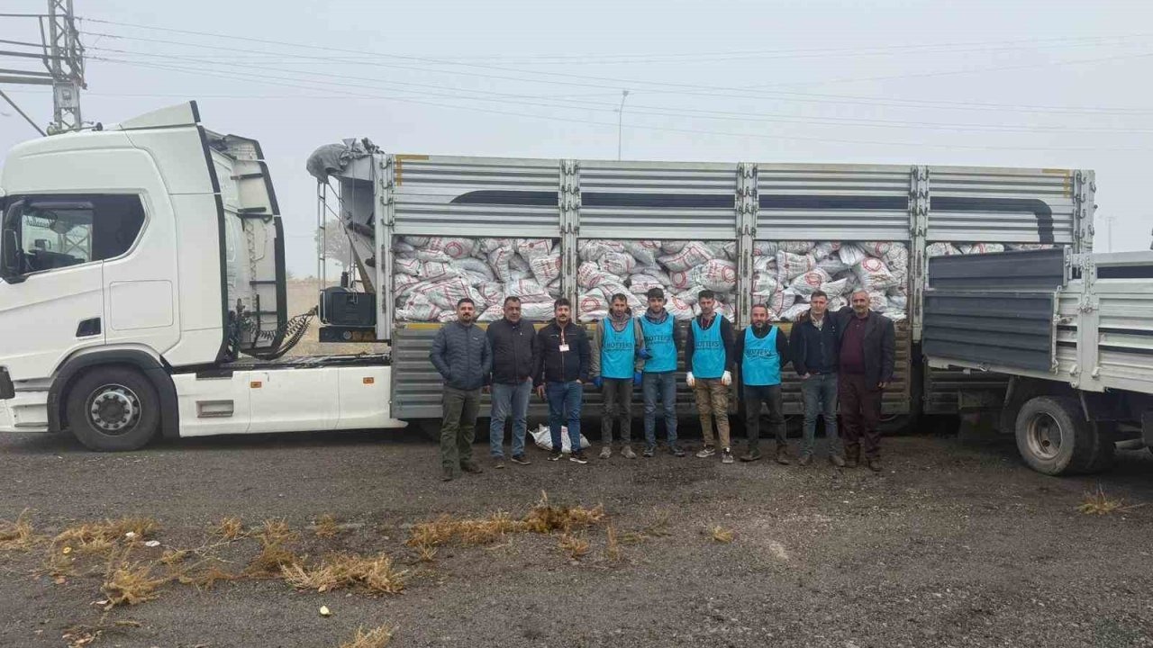 Patnos&#039;ta Kış Öncesi Büyük Kömür Seferberliği: 10 Bin Haneye 14 Bin 500 Ton Kömür Dağıtılıyor