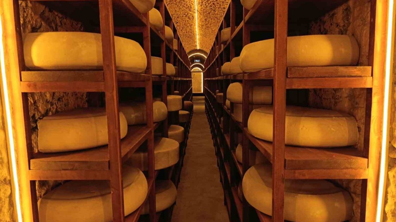 Türkiye&#039;nin İlk Tematik Peynir Müzesi Ziyaretçi Akınına Uğruyor: 11 Ayda 82 Bini Aştı