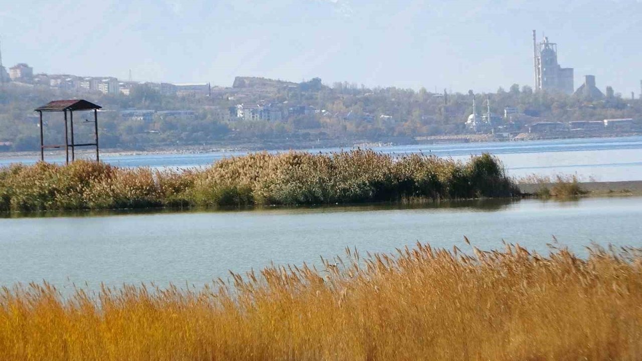 Van Gölü Havzası&#039;nın Ekolojik Zenginliği: Türkiye&#039;nin En Fazla Sulak Alanına Sahip Bölgesi