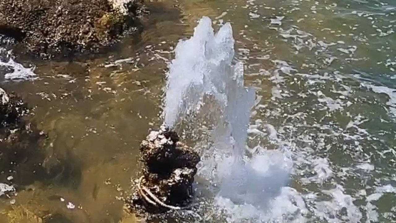 Van Gölü&#039;nde Hayrete Düşüren Görüntü: Çekilen Suda Gün Yüzüne Çıkan Mikrobiyalitten Tatlı Su Fışkırıyor