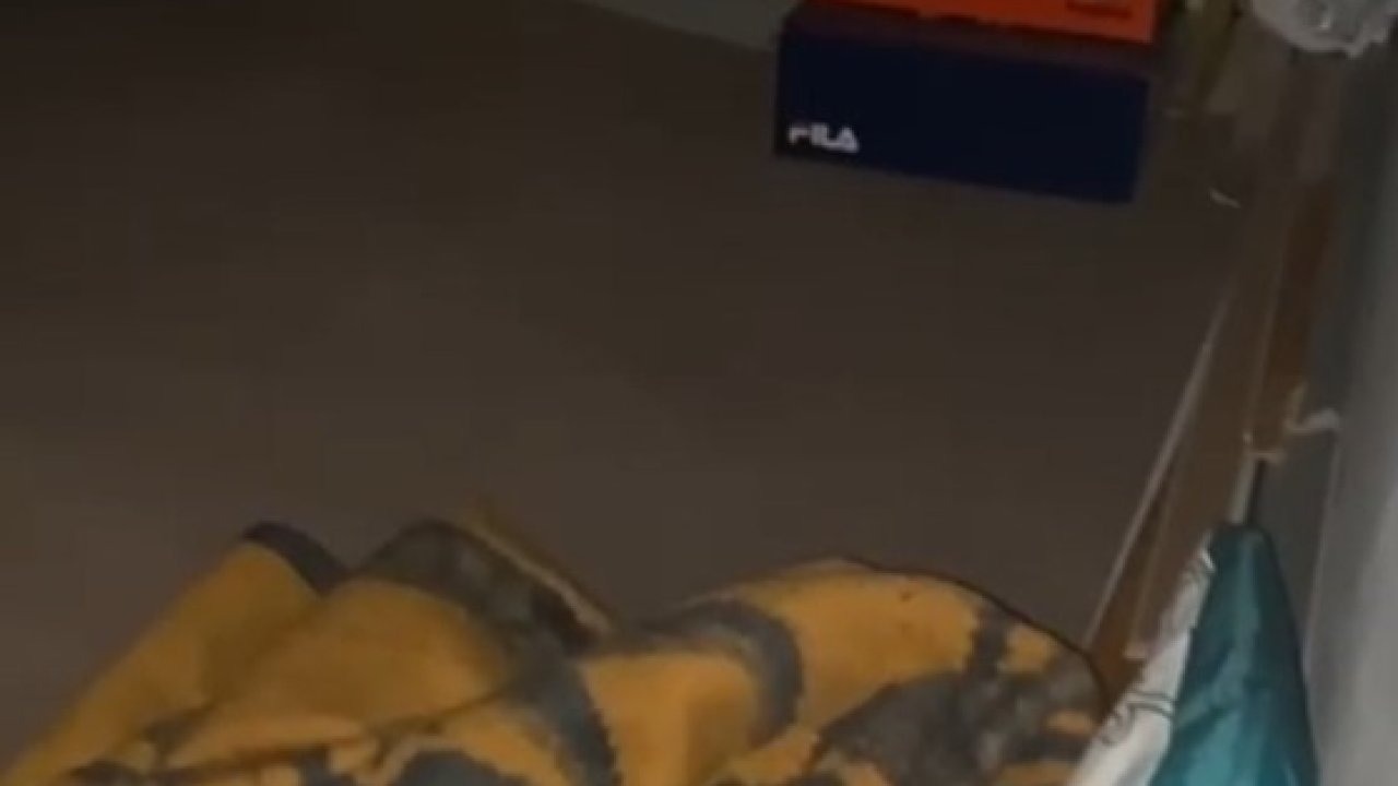 Van’da Eski Belediye Müdürü Gizli Bölmede Yakalandı: 12,5 Yıl Hapis Cezası Bulunuyordu