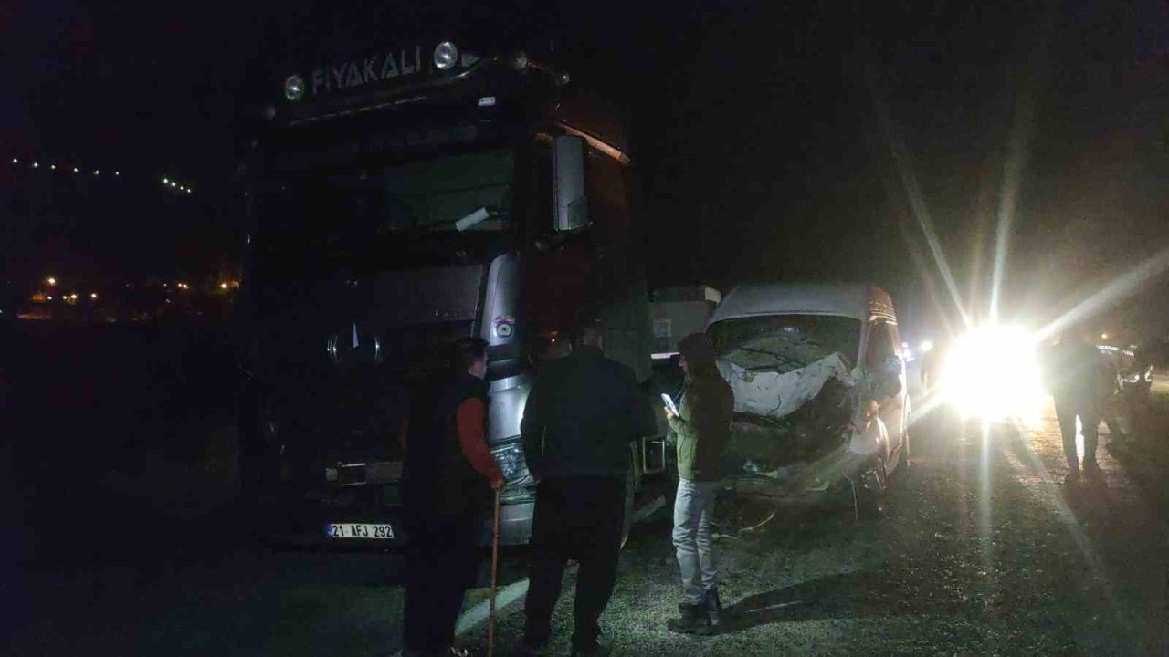 Van’da Zincirleme Kaza: Yola Çıkan İneğe Çarpan Araçlar Durakta Bekleyen Tıra Vurdu, 2 Yaralı