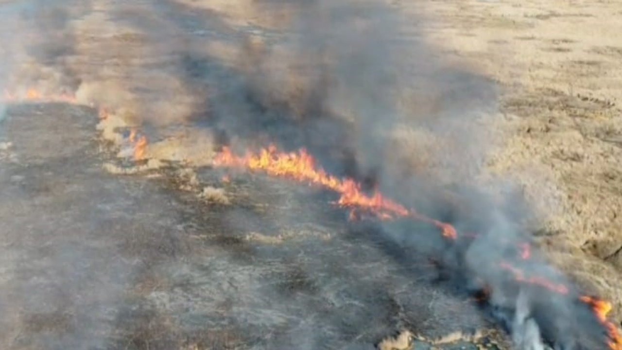 Van&#039;ın Çırak Sazlığında Yangın Paniği