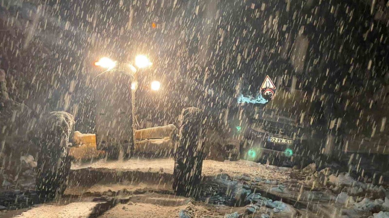 Yoğun Kar ve Tipi Nedeniyle Ordu Sivas Karayolu Ulaşıma Kapandı