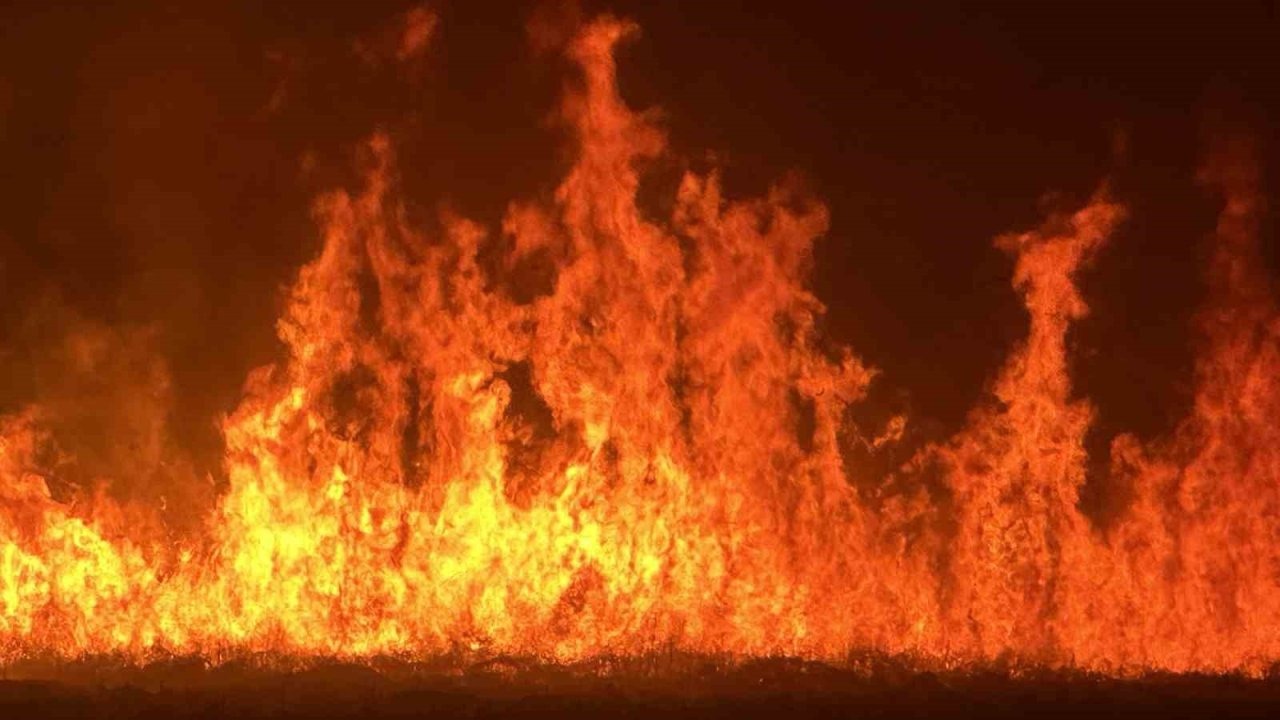 Yüksekova’da Doğal Felaket: Nehil Sazlığı Yanıyor, Yerleşim Yerleri Tehdit Altında!