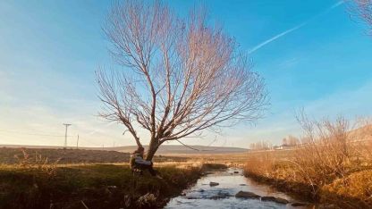 Patnos Sonbahar Manzaralarıyla Büyülüyor
