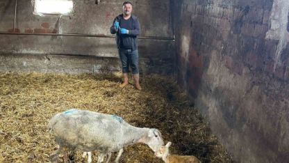 Şap mağduru üreticiler destek bekliyor