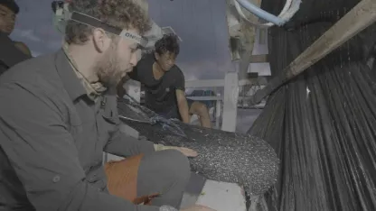 Veteriner Hekim Doğanay Vural, Endonezya'da Balina Köpekbalığını Kurtardı