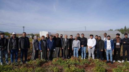 Adıyaman’da yer fıstığı hamlesi