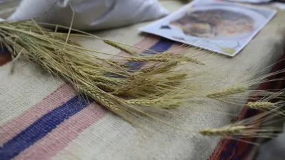 Ardahan Üniversitesi'nde 'Kavılca' Vurgusu: "Bölgesel Ekonominin Stratejik Markası"