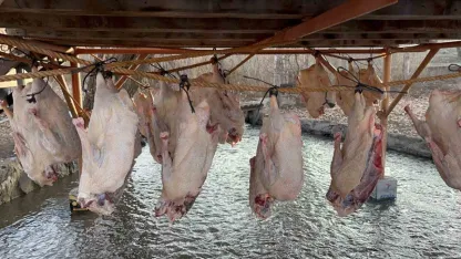 Kars Kazında "Kurutma" Dönemi Başladı: Meşhur Lezzet Sofralara Hazırlanıyor