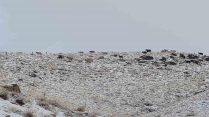 Van’da Erek Dağı Kar Yağışıyla Beyaza Büründü