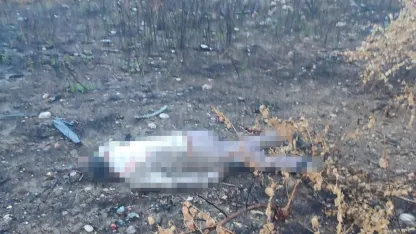 Mersin’de kaza yapan araç otoyolda, sürücüsü 30 metrelik köprünün altında ölü bulundu