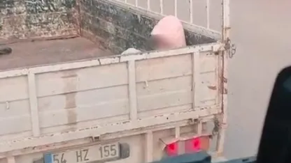 Soğuk havada yürek sızlatan yolculuk