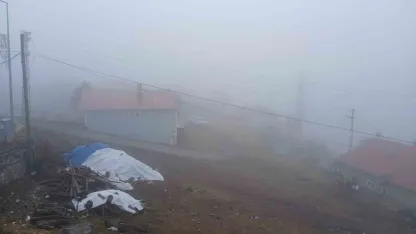 Ardahan Posof’ta Yoğun Sis Hayatı Olumsuz Etkiledi