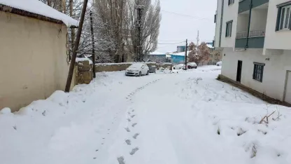 Başkale’de kar etkili oldu