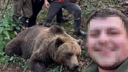 Evlere ve vatandaşlara zarar veren ayı için başlatılan av sonuç verdi, ilk ayı vuruldu