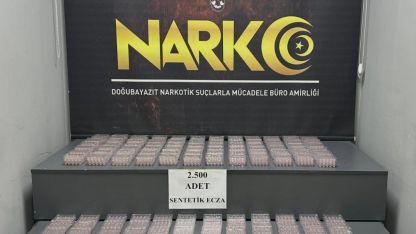Ağrı'da Tırda Sentetik Ecza Operasyonu: 2.500 Adet Madde Ele Geçirildi, 1 Tutuklama
