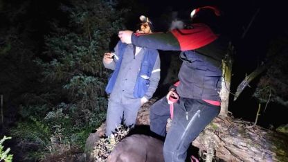 Mantar aramak için gittiği ormanda kayboldu