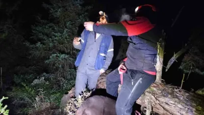 Mantar aramak için gittiği ormanda kayboldu