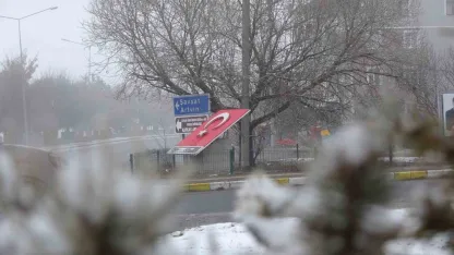 Ardahan'da Dondurucu Soğuklar: Termometreler -15'i Gördü, Buzlanma Başladı
