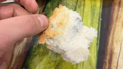 Ekmeğin içinden çıkanı görünce şok oldu