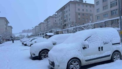 Van'da Yoğun Kar Yağışı ve Sis Hayatı Olumsuz Etkiliyor: Uçak Seferleri Aksadı