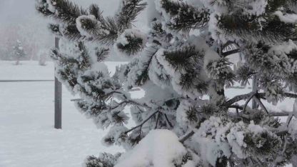 Ardahan’da Dondurucu Soğuk ve Sis Hayatı Olumsuz Etkiledi