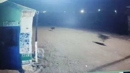 Kars’ta Yaban Hayatı Şehre İndi: Tilki, Kurt ve Köpeklerin 'Zincirleme Kovalamacası'