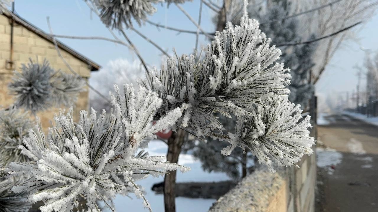 Ağrı’da Sibirya Soğukları: Araçlara Battaniyeli Önlem!