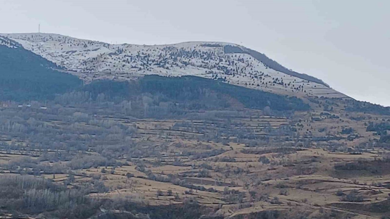 Ardahan Posof&#039;ta Kar Yağışı Etkili Oldu: Dağlar Beyaza Büründü