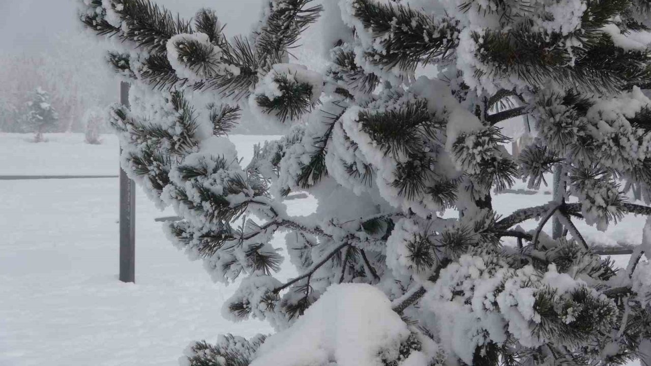Ardahan’da Dondurucu Soğuk ve Sis Hayatı Olumsuz Etkiledi