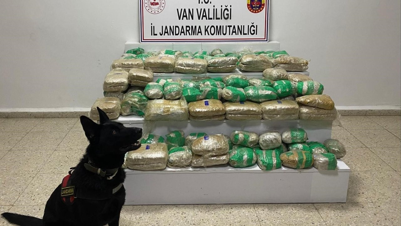 Başkale’de Narkotik Operasyonu: 51 Kilogram Skunk Ele Geçirildi