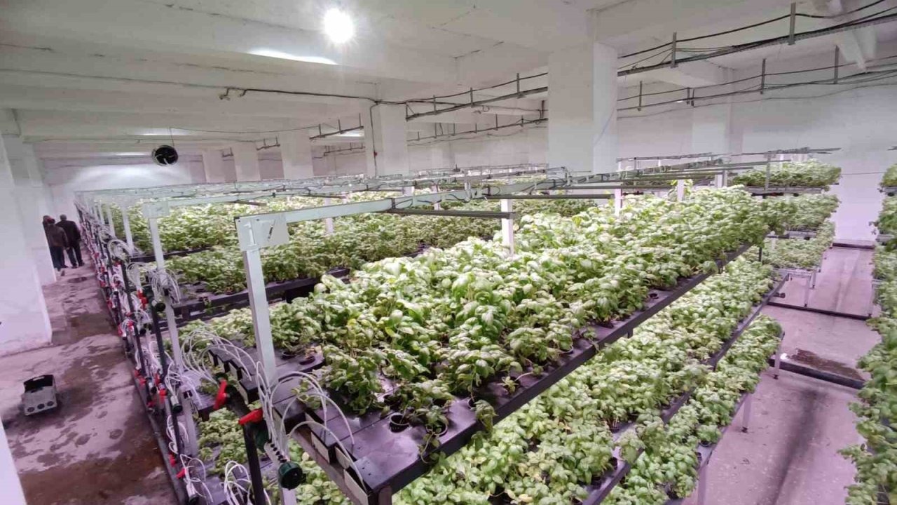 Batman’a eksi birinci katta 30 milyonluk &quot;dikey tarım&quot; yatırımı