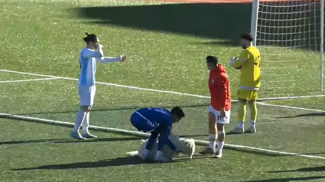 Dersimspor Maçında Beklenmedik Misafir: Ceza Sahasında Uyku Keyfi