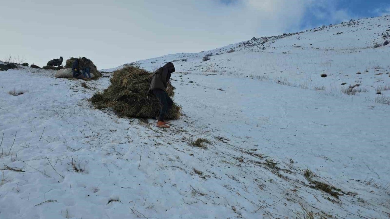Erciş'te Asırlık Mesai: Kar Üstünde Kızakla Ot Taşıma Yolculuğu