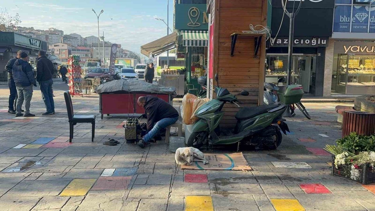 Hayata tutunan engelli köpeğe bebek gibi bakıyor