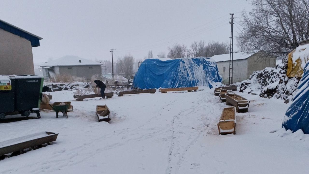 Iğdır'da Beyaz Esaret Besiciyi Vurdu: Otlaklar Kapandı, 'Ağıl' Mesaisi Başladı!