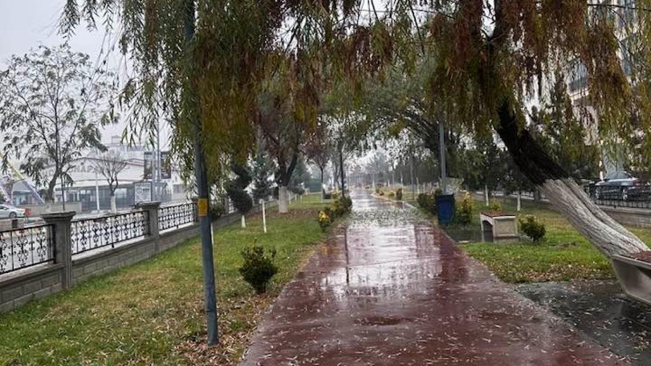 Iğdır’da Yağmur ve Yoğun Sis Etkisini Sürdürüyor