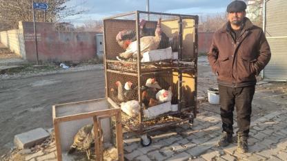 Iğdır’da “yılbaşı hindileri” pazarda yerini aldı