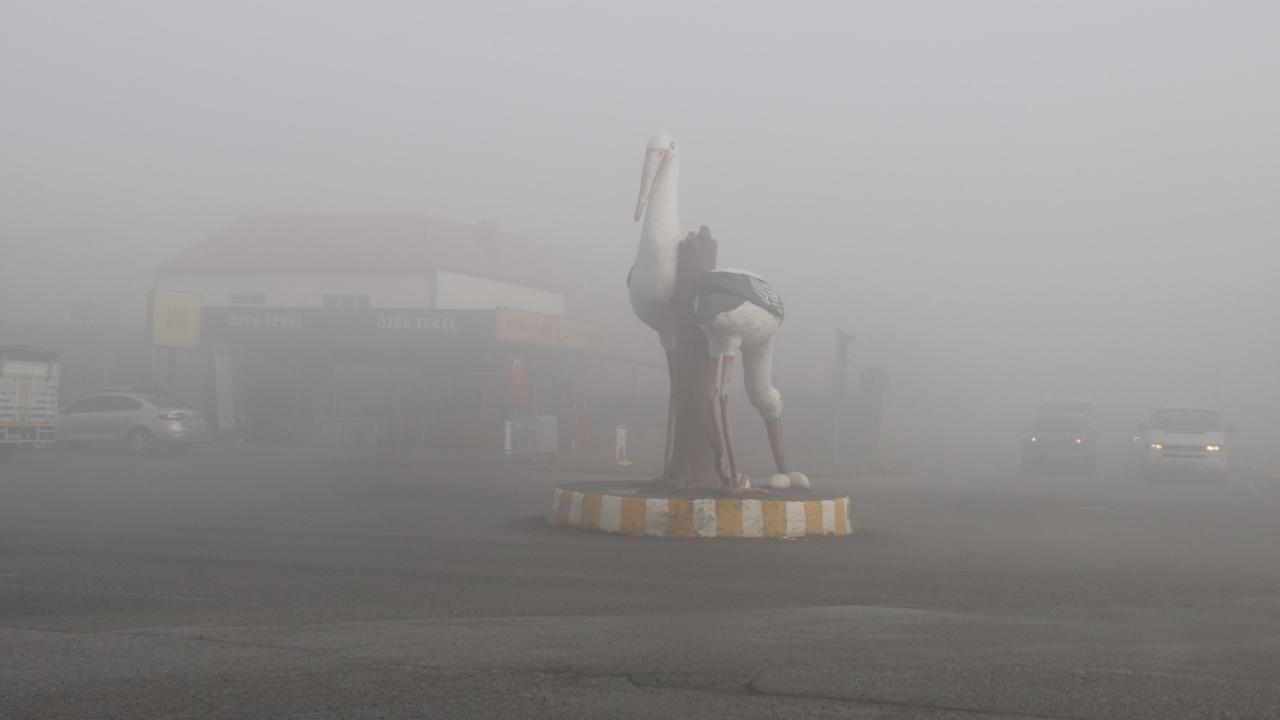 Iğdır’da Yoğun Sis Hayatı Felç Etti: Görüş Mesafesi 1 Metreye Kadar Düştü