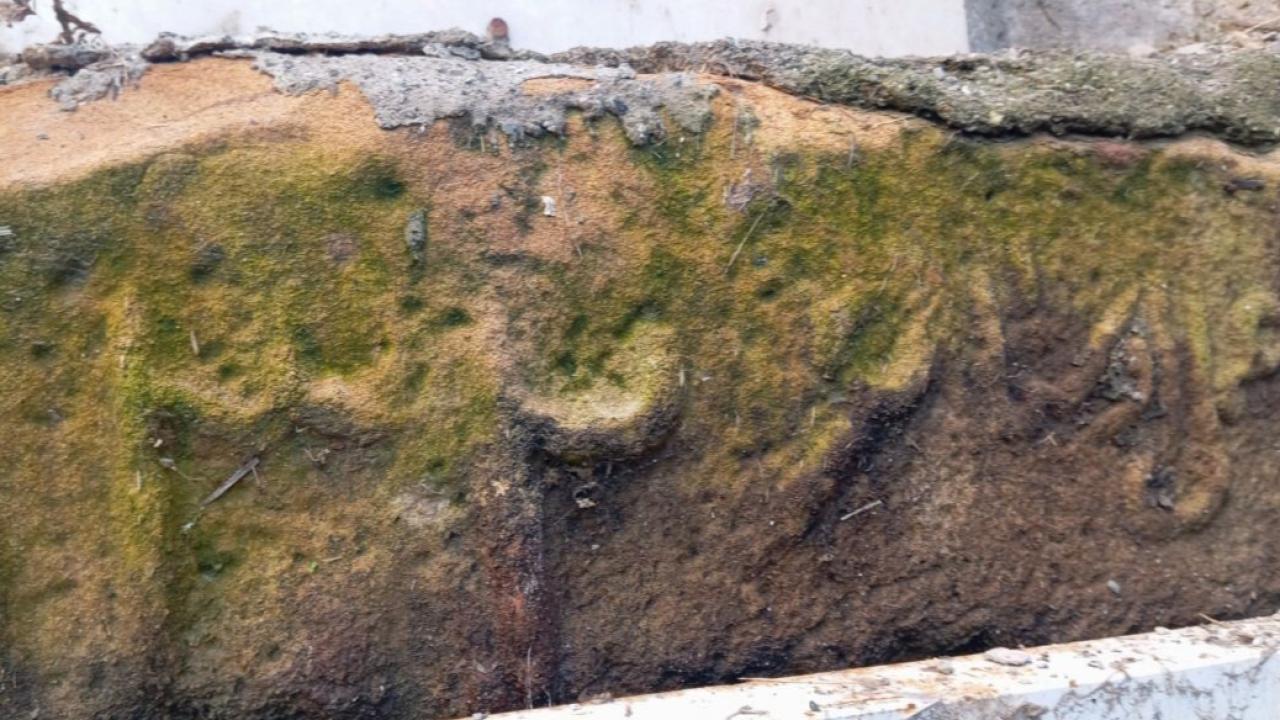 Iğdır’ın Unutulan Tarihi Mirası: Karakoyunlu Buzhanesi Restorasyon Bekliyor!