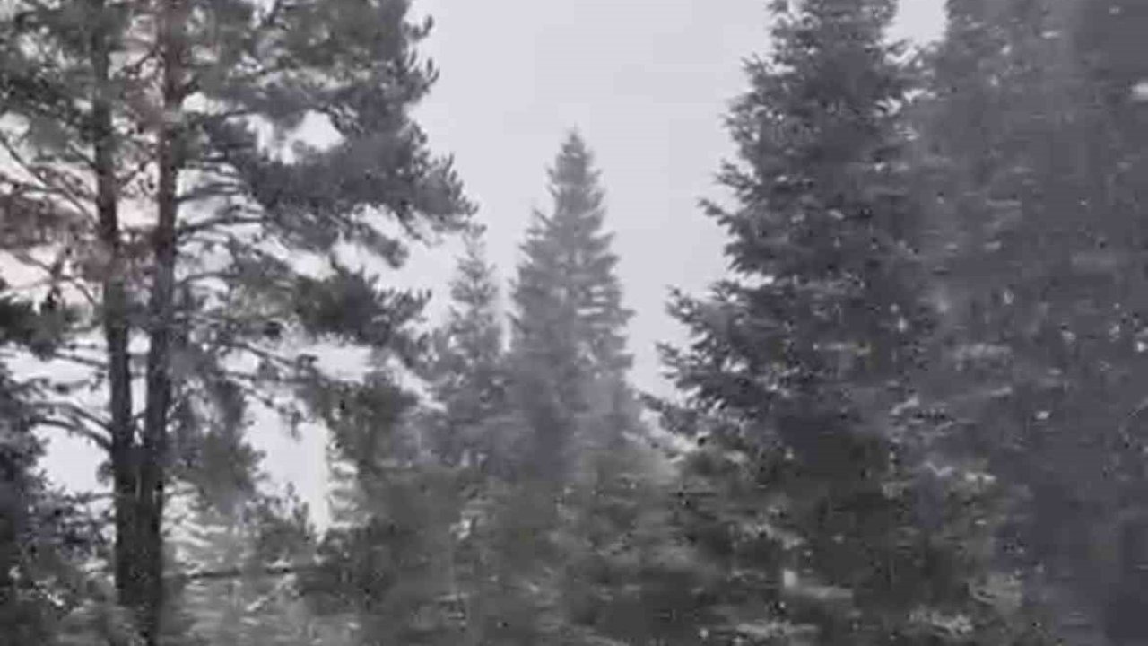 Ilgaz Dağı’nda kar yağışı etkili olmaya başladı