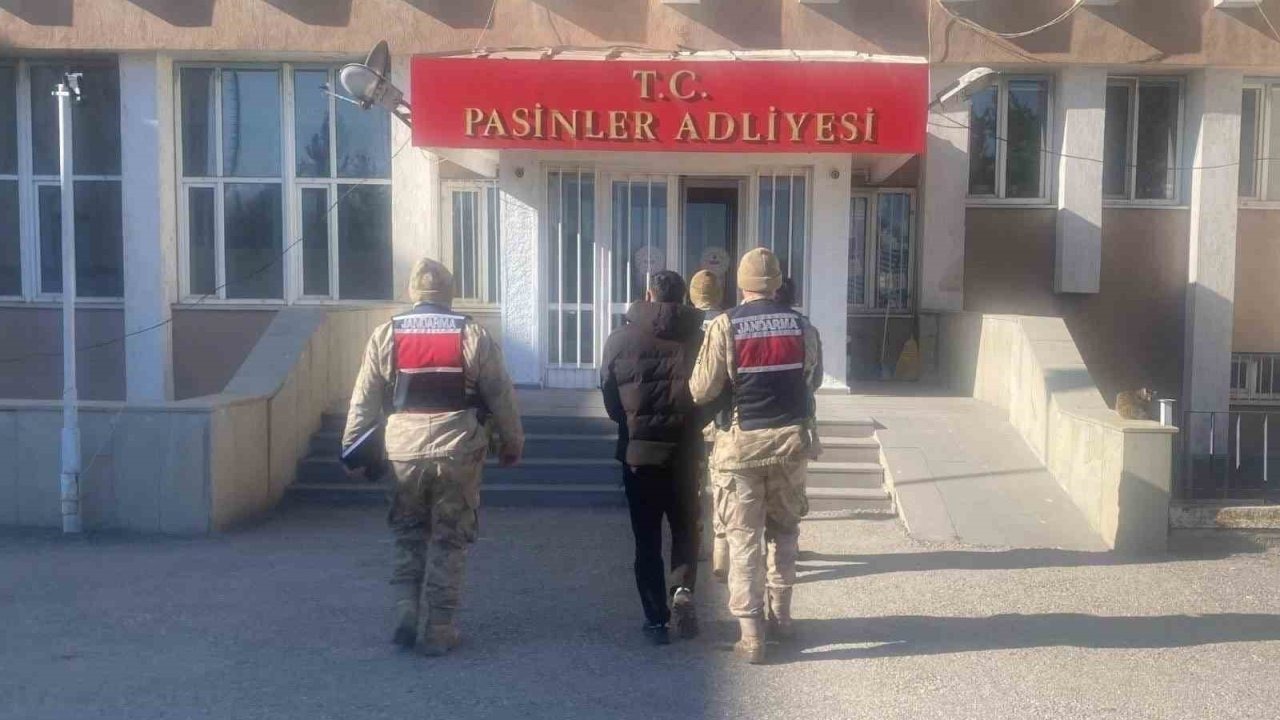 Köprüköy’de Büyükbaş Hayvan Hırsızlığına Anında Müdahale: 2 Şüpheli Tutuklandı