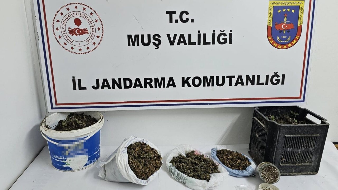 Muş’ta Uyuşturucu Operasyonu: 1 Kilo 350 Gram Kubar Esrar Ele Geçirildi