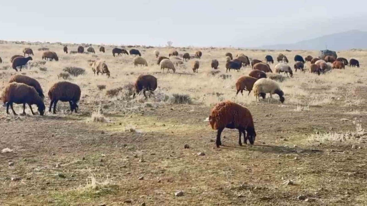 Patnos’ta Kar Hasreti Üreticinin Yüzünü Güldürdü