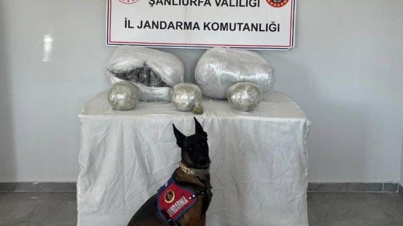 Şanlıurfa’da 25 kilogram uyuşturucu madde ele geçirildi
