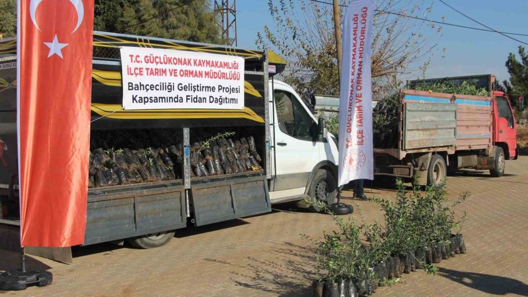 Şırnak&#039;ta çiftçilere 4 bin zeytin fidanı dağıtıldı