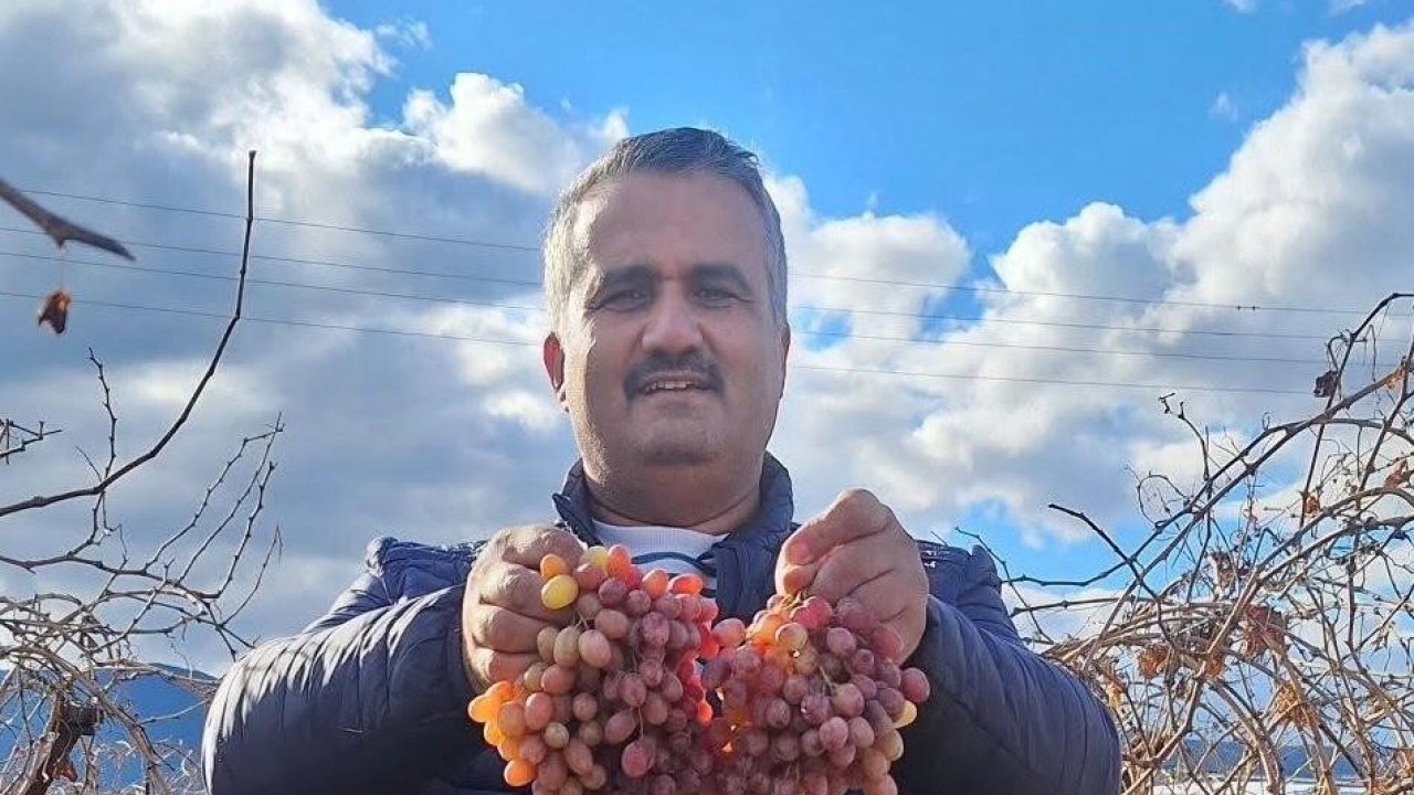 Soğuğa dayanıklı kazancı yüksek